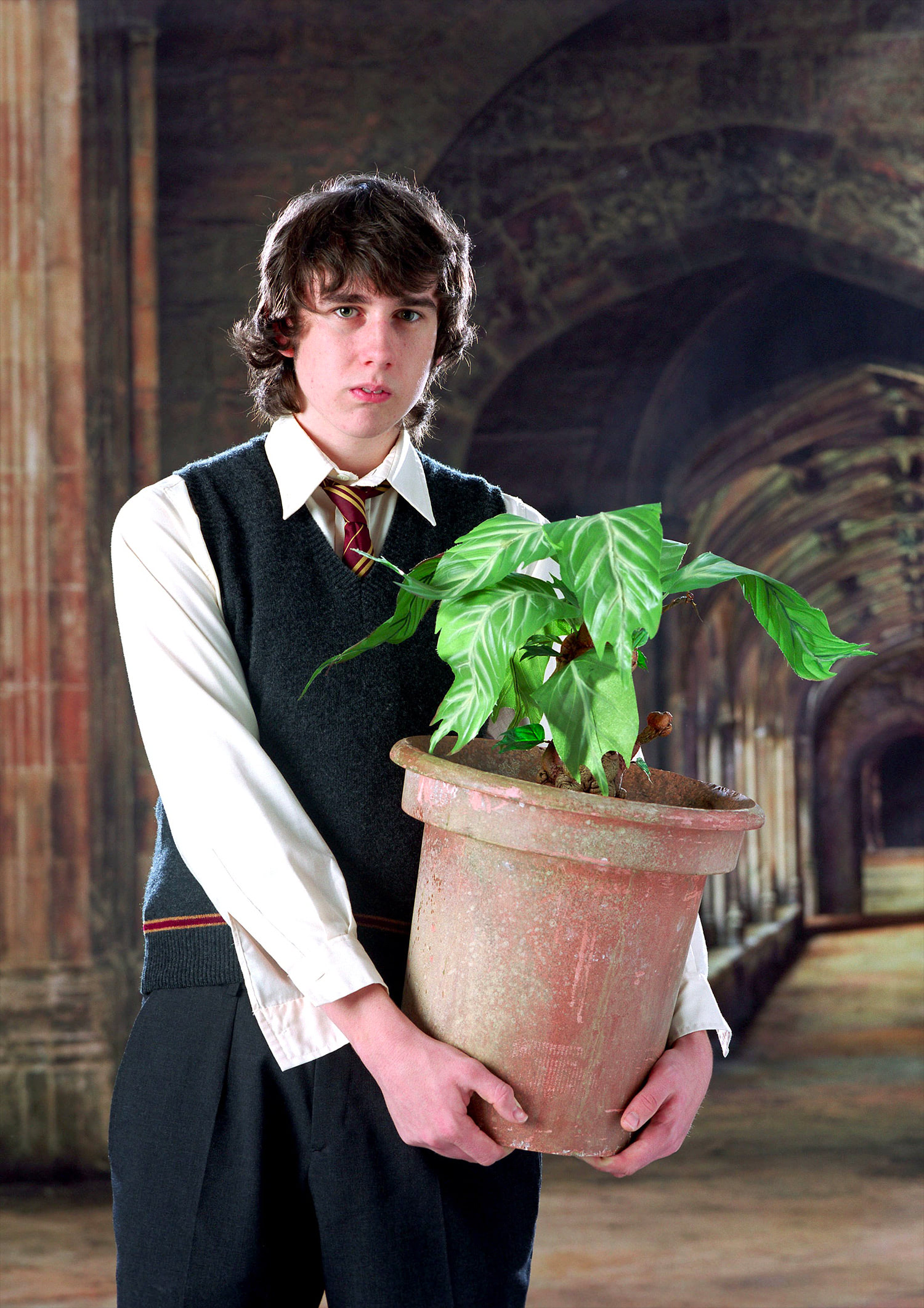   Neville Longbottom